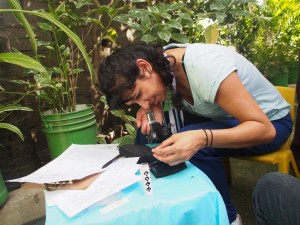Dr. Priya Soni takes a turn looking at a specimen.